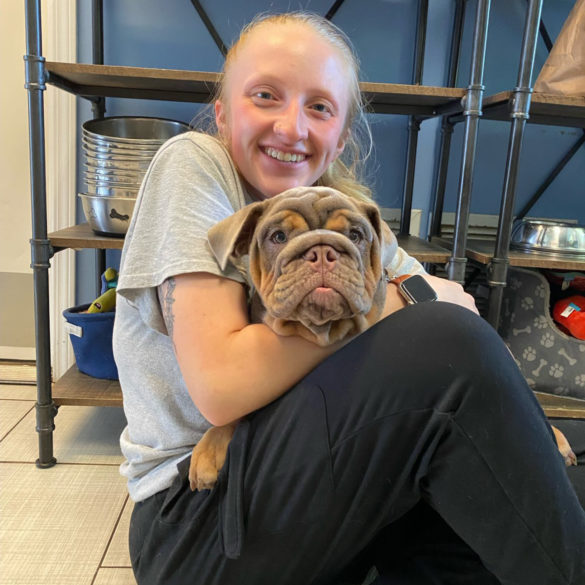 Andreana Home Away From Home Kennels Dog Day Care Buffalo NY