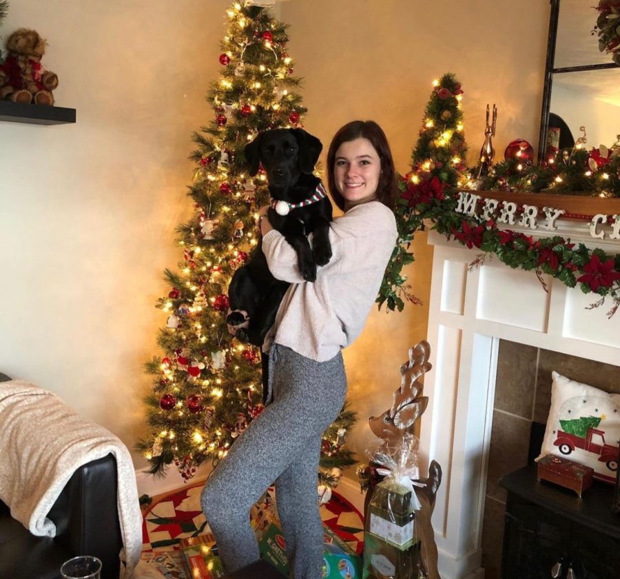 Alexis from Home Away From Home Kennel Buffalo NY